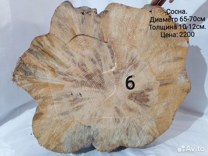 Спил дерева, слэб (заготовка для эпоксидного стола