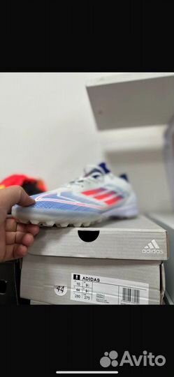 Сороконожки 44