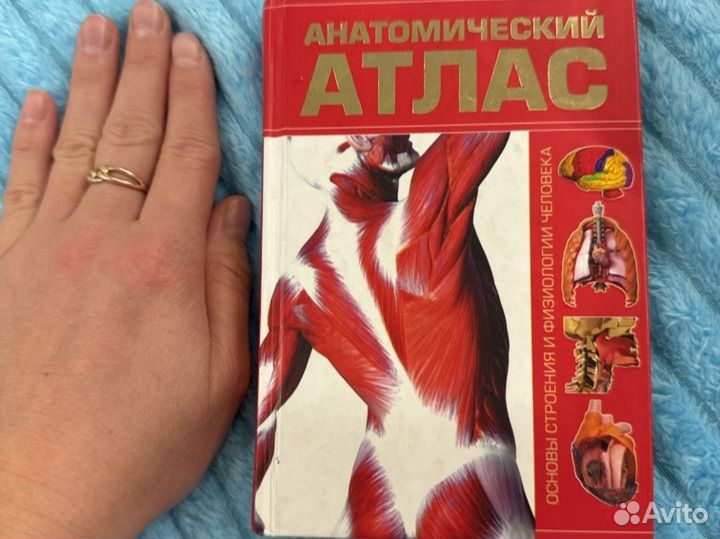 Атлас анатомический