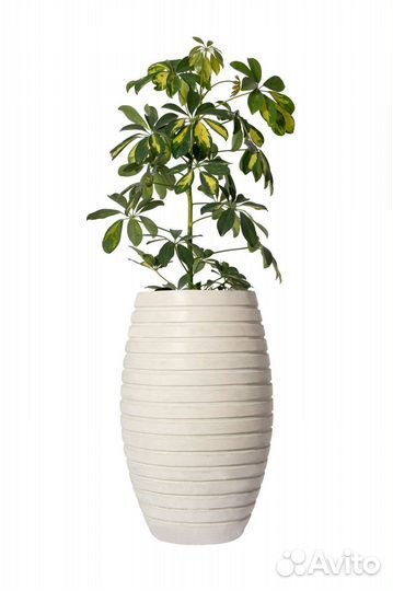 Вазоны для цветов из бетона