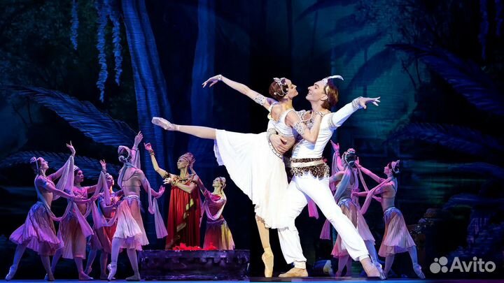 Билеты на балет в Кремле.Любой балет