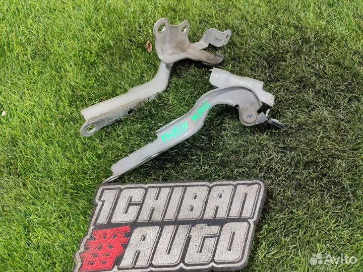 Петля капота Toyota Probox NCP165