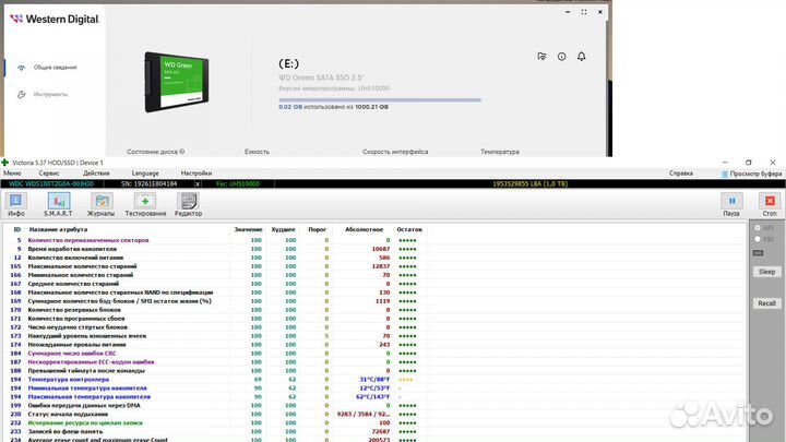 SSD WD Green 1Tb