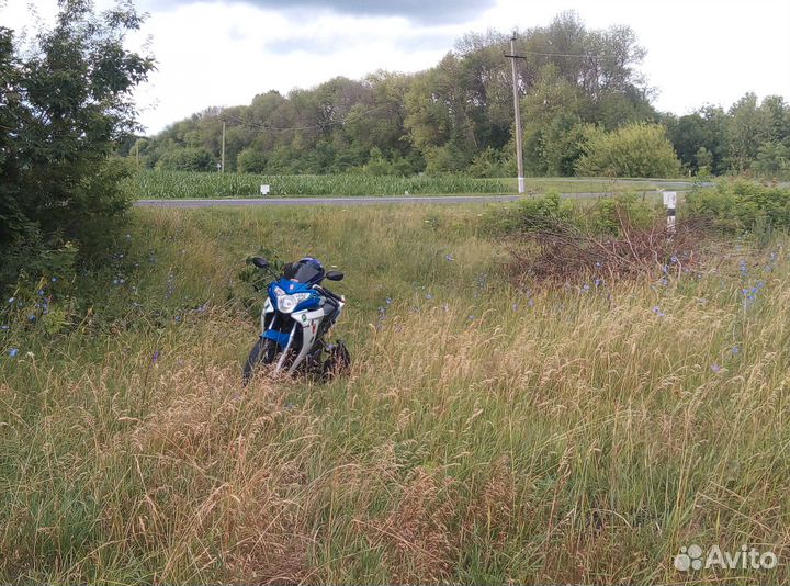 Рейсер скайвей 250