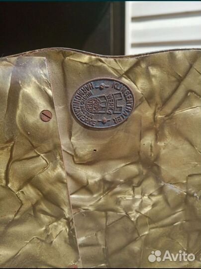 Баян weltmeister