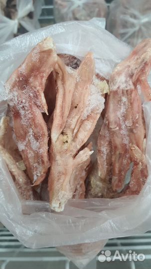 Лапы индейки, утки