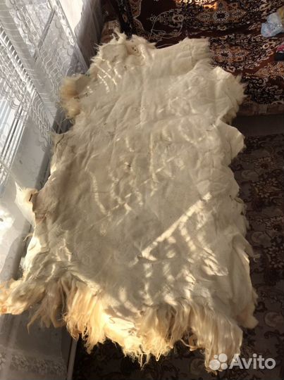 Козлиная шкура