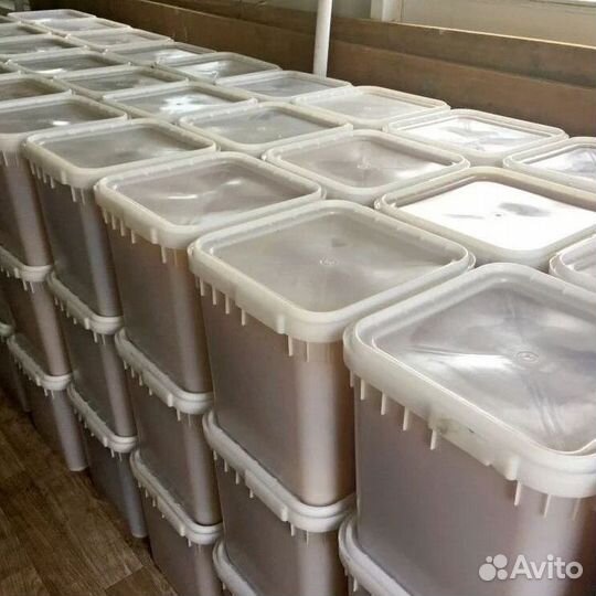 Свежий мёд разнотравье опт