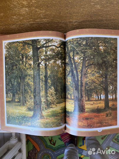 Книги. Серия сокровища живописи