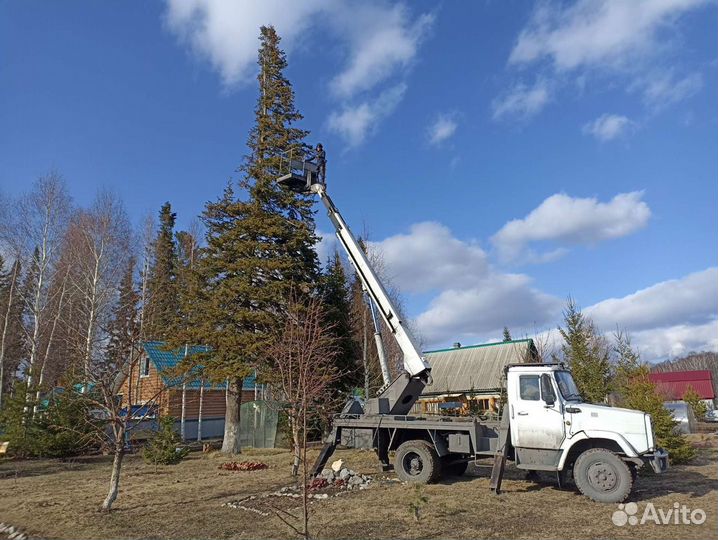 Уборка деревьев