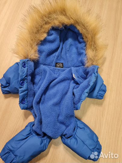 Одежда для собак