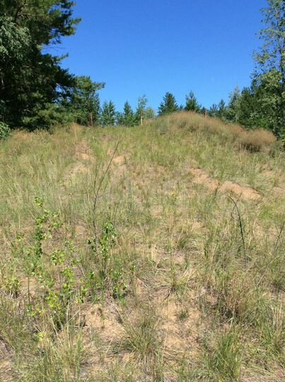 Участок 13 сот. (ИЖС)