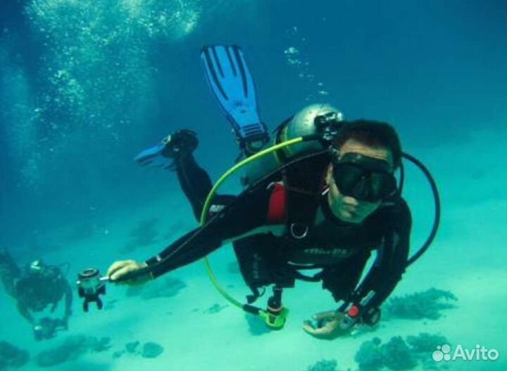 Дайвинг, погружением в открытом море