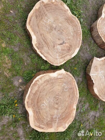 Слеб (Спилы Вяза)