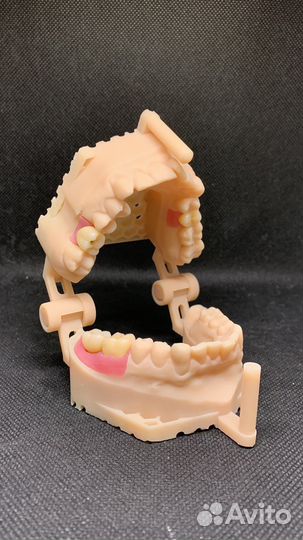 Зубной техник керамист