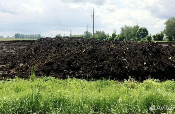 Плодородная почва, земля