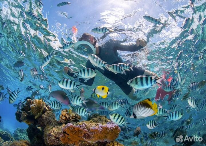 Маска для снорклинга Декатлон easybreath 500 Subea