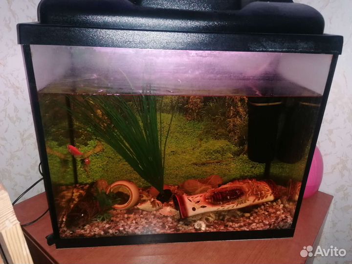 Аквариум с фильтром и светом