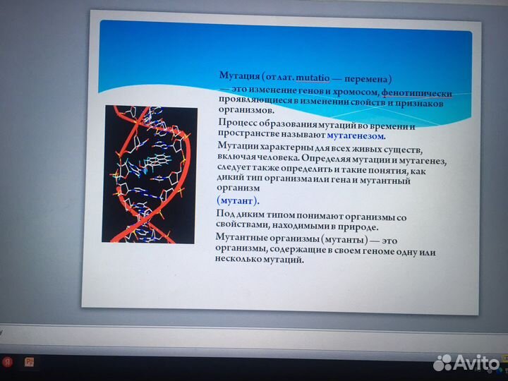 Создание презентаций