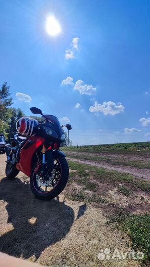 Falcon Speedfaer 250 sport