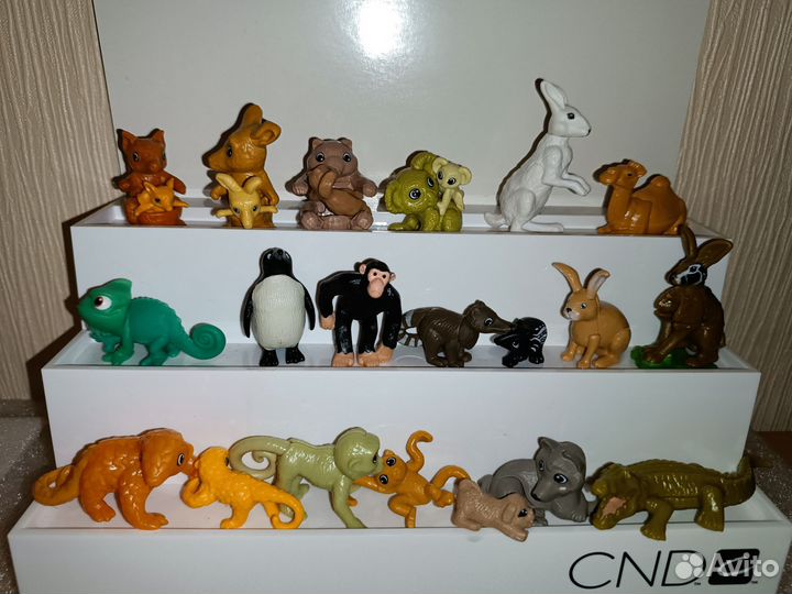 Киндер животные