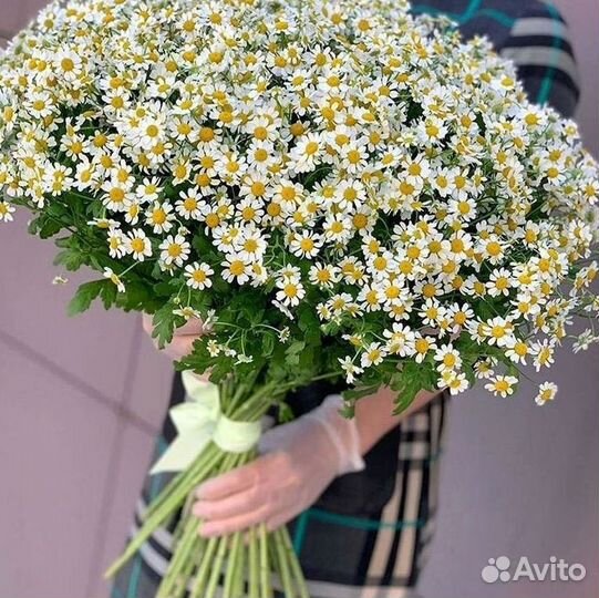 Доставка цветов. Ромашки