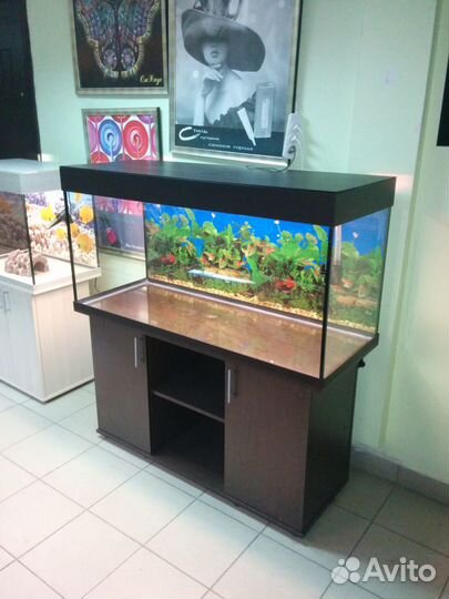 Аквариум 320 прямоугольный, свет, биофильтр, тумба