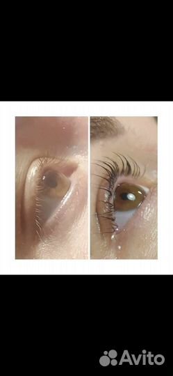 Модели на брови, реснички (лами) в Петергофе