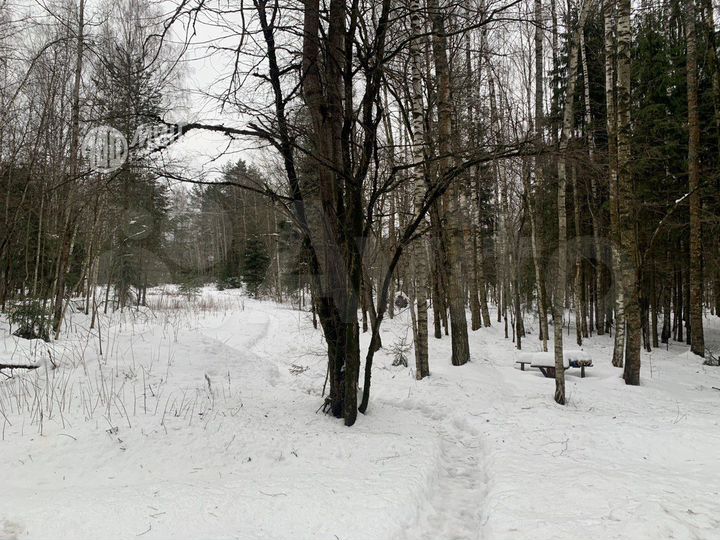 Участок 1,19 га (промназначения)