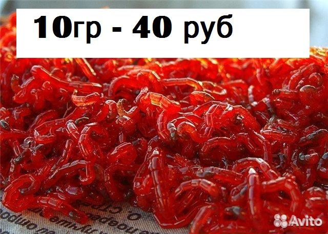 Мотыль Насадочный крупный(урал)