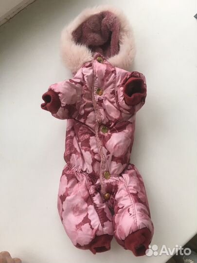 Одежда для собак