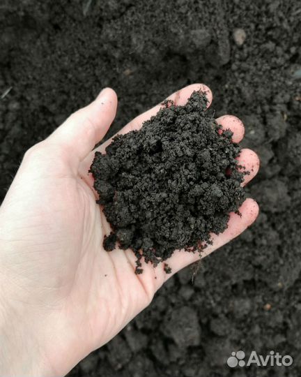 Чернозем, грунт, земля с доставкой