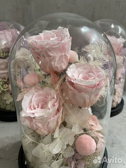 Композиция из стабилизированных цветов в колбе