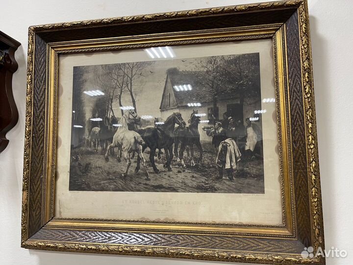 Гравюра Dr. E Albert&C 1893 год