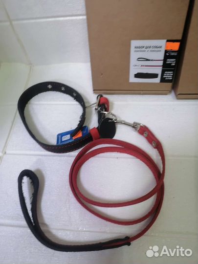 Ошейник и поводок