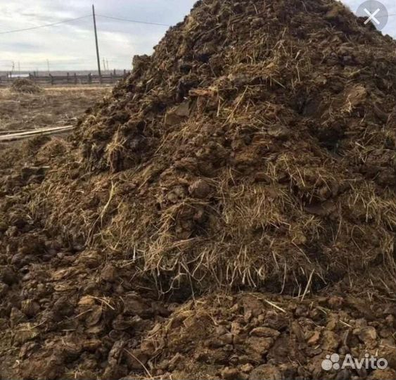 Перегной домашний