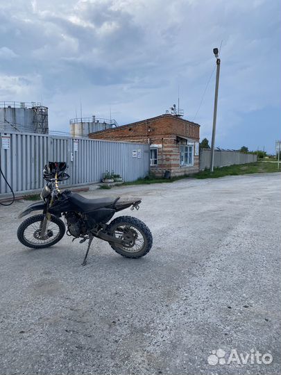 Roliz ekonika sport 003