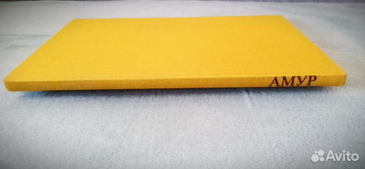 Амур альбом