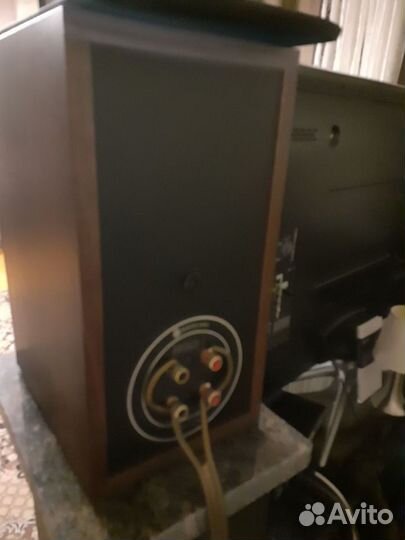 Полочные акустические колонки monitor audio Bronz2