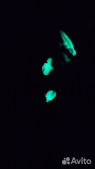 Lego bionicle Barraki Takadox