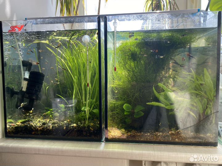 Аквариум