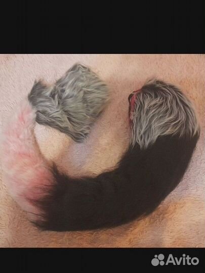 Хвосты на заказ