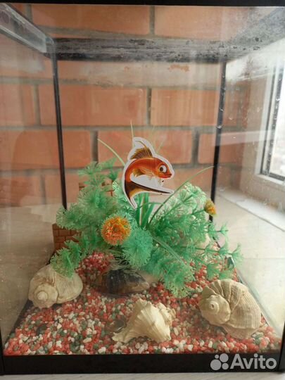 Аквариум