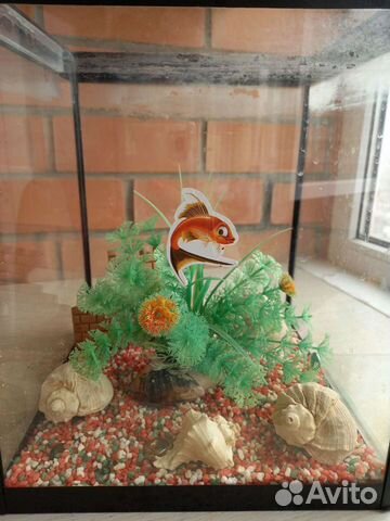 Аквариум