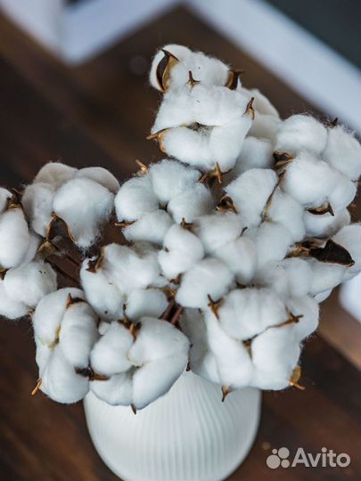 Хлопок дизайн