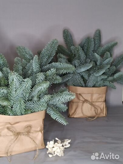 Композиция в крафте с нобилисом