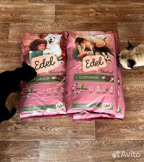 Сухой корм для собак и кошек