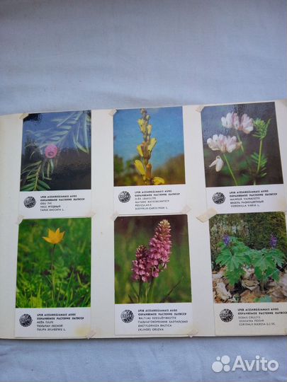 Альбом СССР с коллекцией