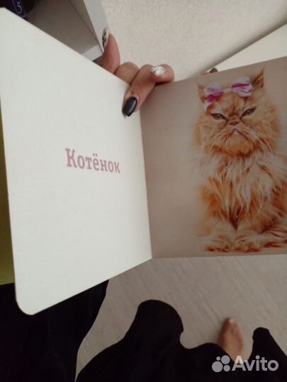 Книги про животных