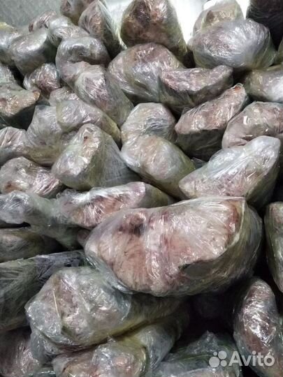 Царская рыба с/м